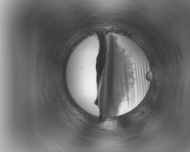 X0000067480754200604281920