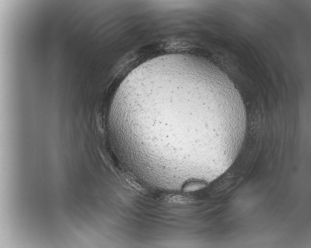 X0000067480755200604281920