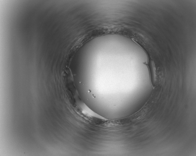 X0000067480756200604281920