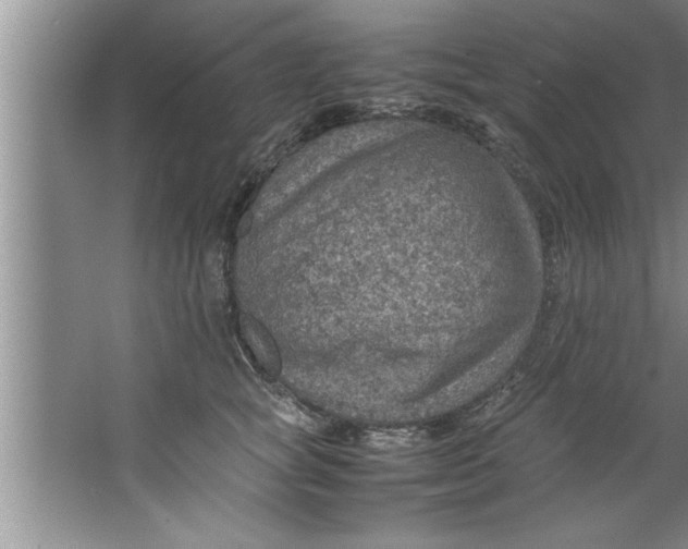 X0000067480757200604281920