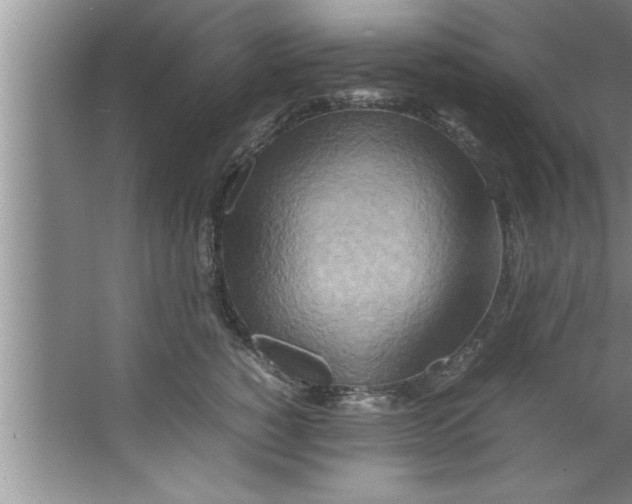 X0000067480760200604281920