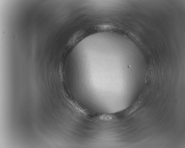 X0000067480762200604281920