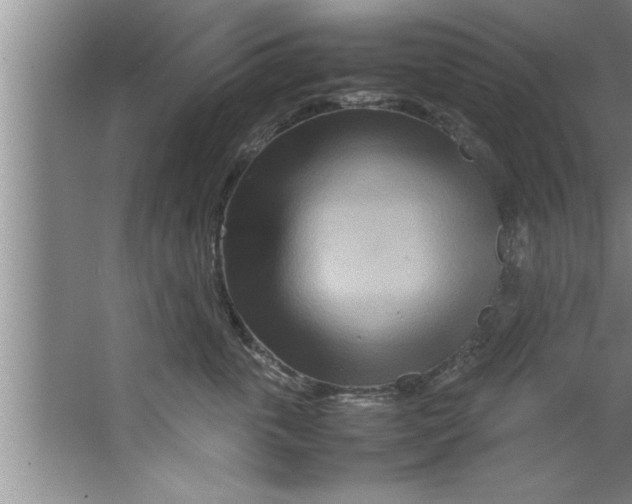 X0000067480763200604281920