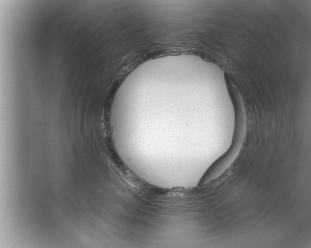 X0000067480764200604281920