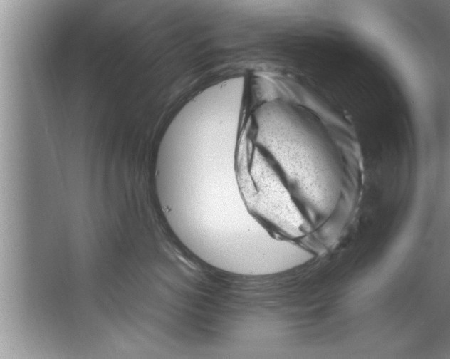 X0000067480766200604281920