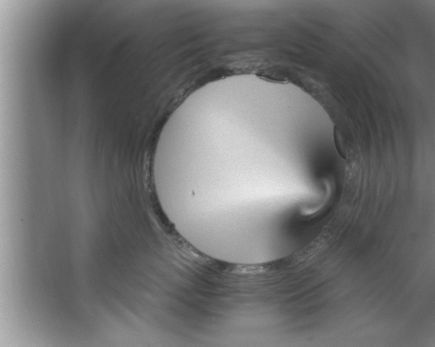 X0000067480767200604281920