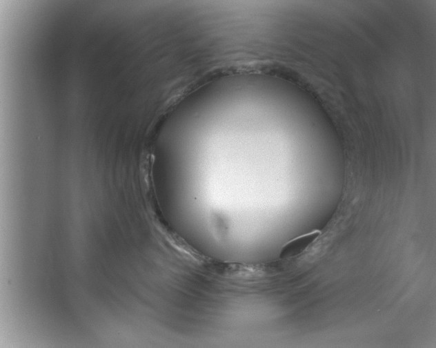 X0000067480768200604281920