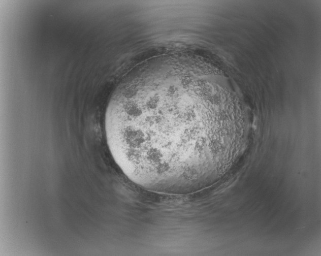 X0000067480771200604281919