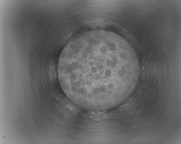 X0000067480772200604281919