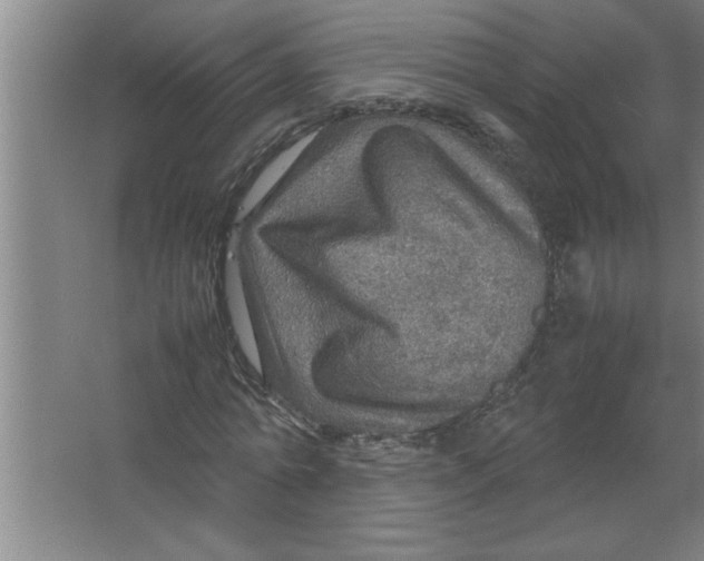 X0000067480774200604281919