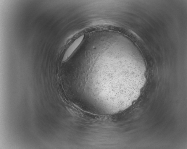 X0000067480775200604281919