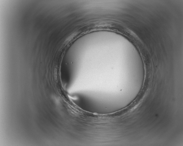 X0000067480777200604281919