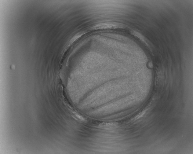 X0000067480778200604281919