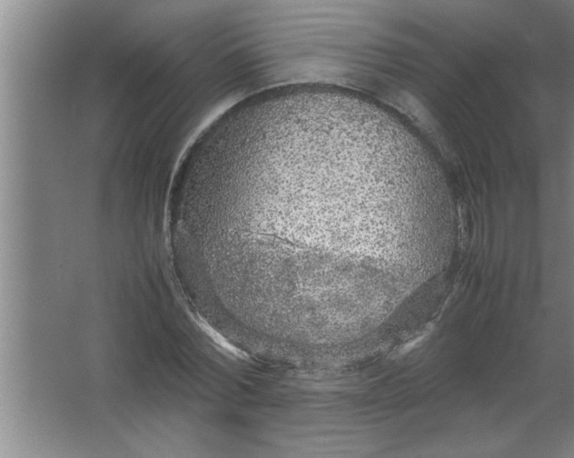 X0000067480780200604281919