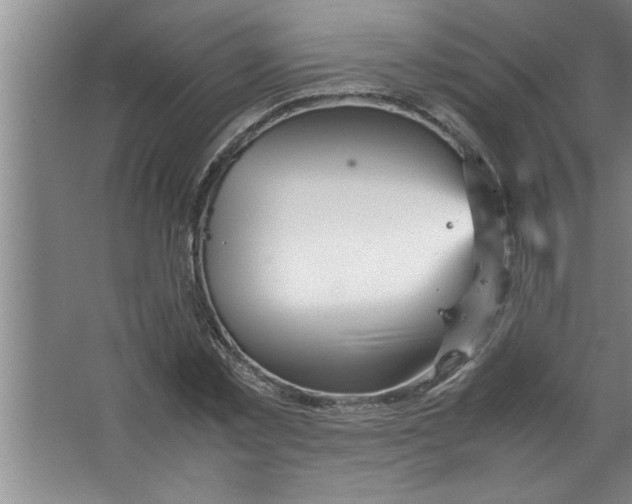 X0000067480781200604281919