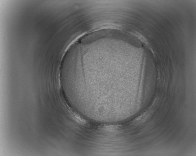 X0000067480782200604281919