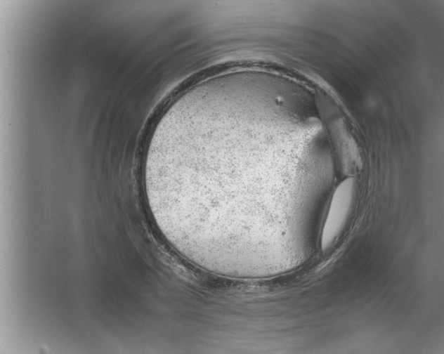 X0000067480783200604281919