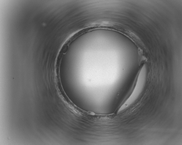 X0000067480784200604281919