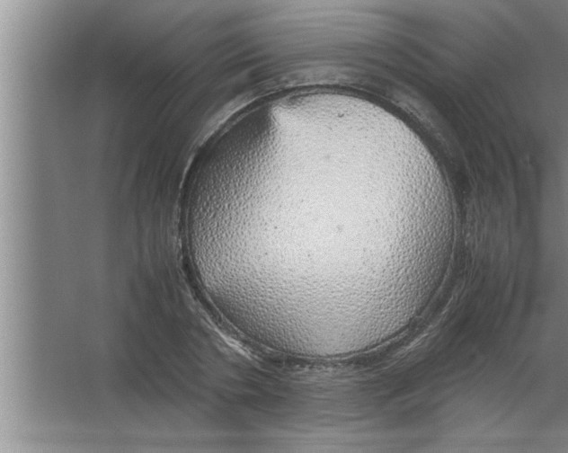 X0000067480786200604281919