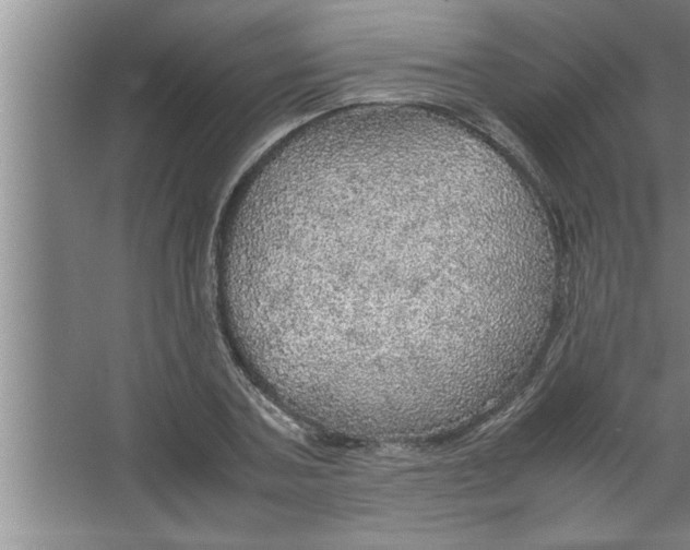 X0000067480787200604281919