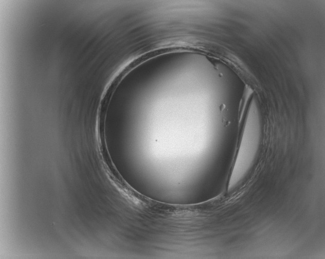 X0000067480788200604281919