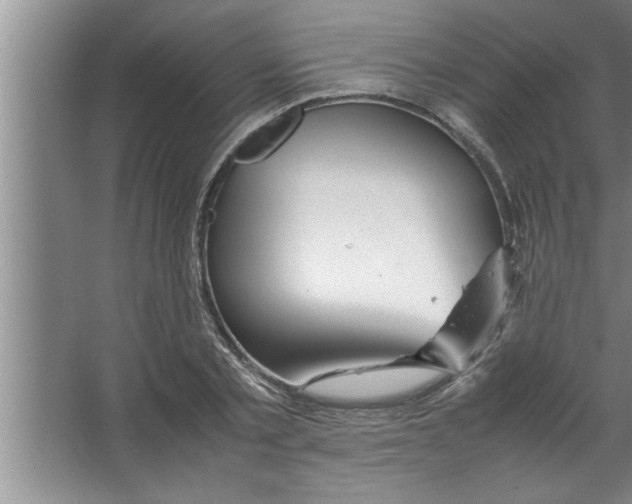 X0000067480789200604281919