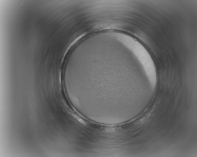 X0000067480790200604281919