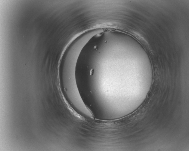 X0000067480792200604281919