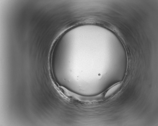 X0000067480795200604281919