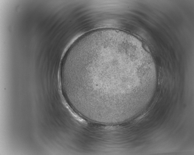 X0000067480796200604281919