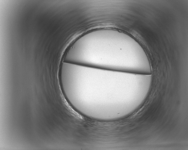 X0000067480797200604281919