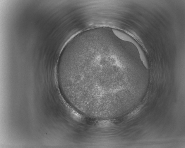 X0000067480798200604281919