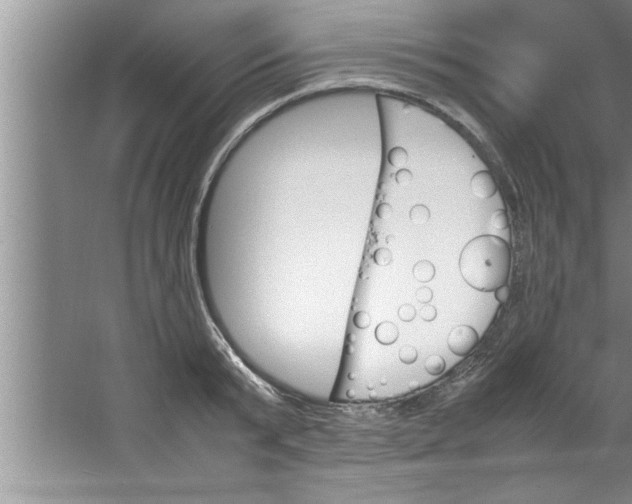 X0000067480799200604281919