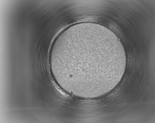 X0000067480800200604281919