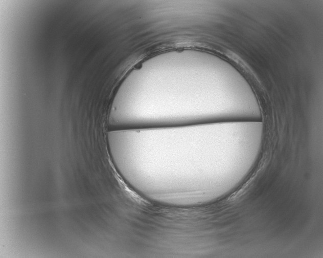 X0000067480801200604281919