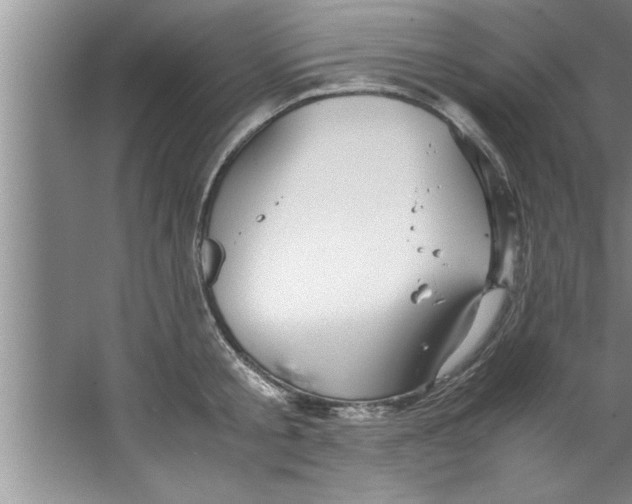 X0000067480805200604281918