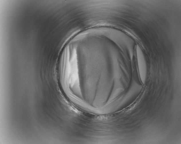 X0000067480806200604281918