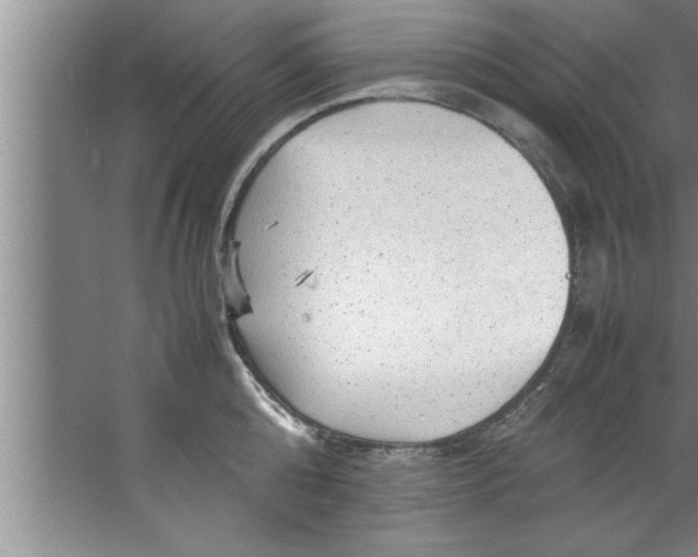 X0000067480808200604281918