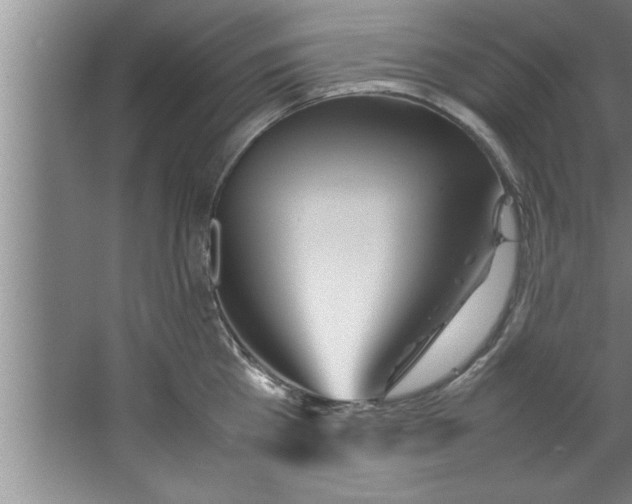 X0000067480809200604281918