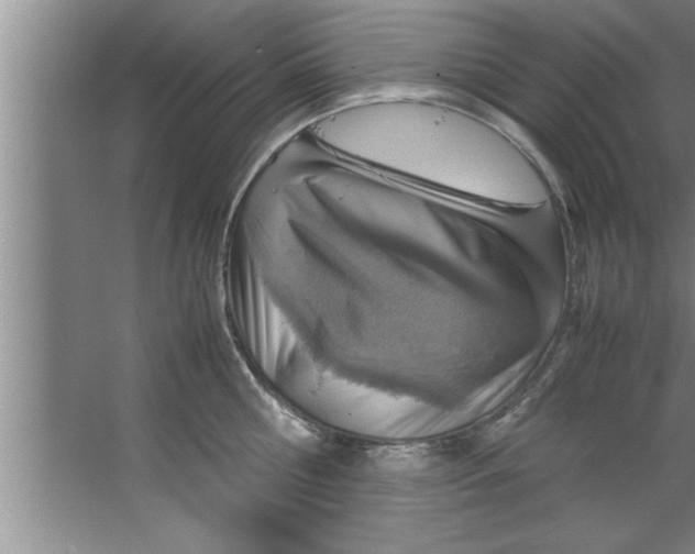 X0000067480810200604281918