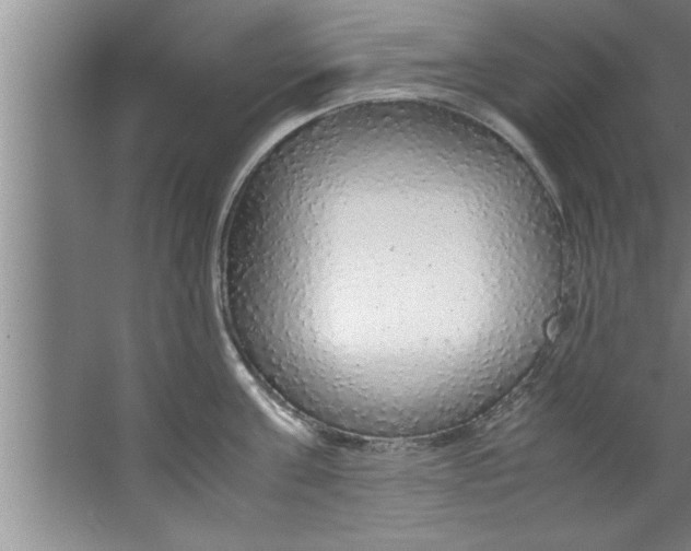 X0000067480811200604281918