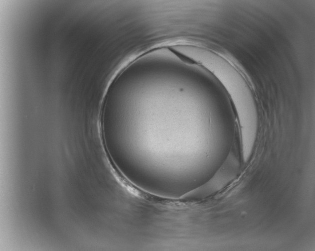 X0000067480813200604281918