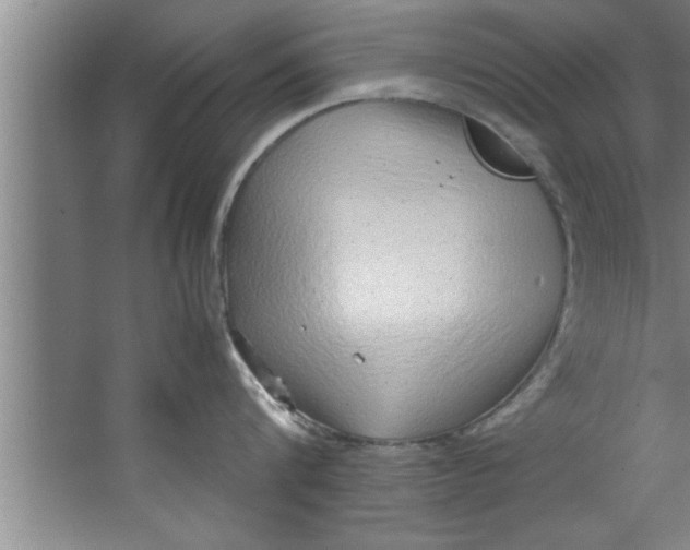 X0000067480816200604281918