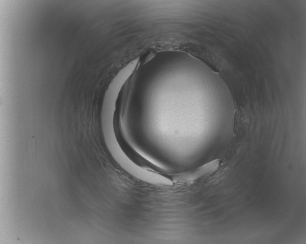 X0000067480818200604281917