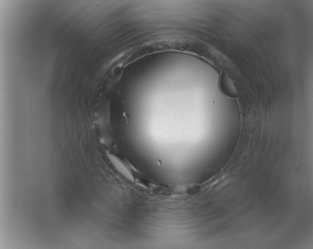 X0000067480822200604281918