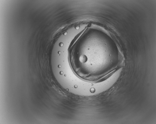 X0000067480824200604281918