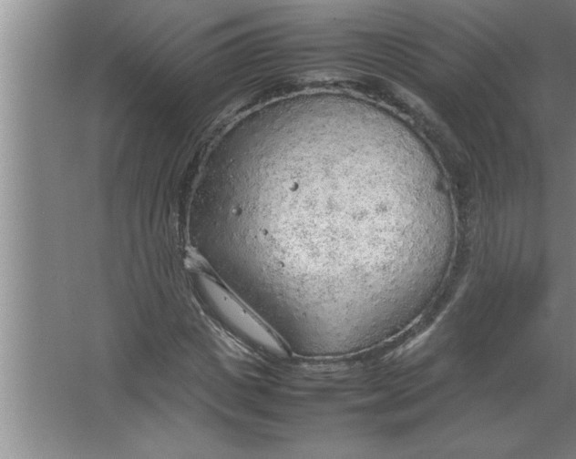 X0000067480825200604281918