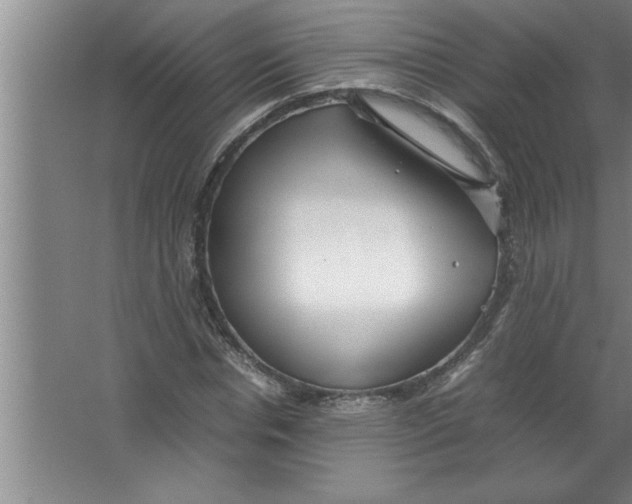 X0000067480826200604281918