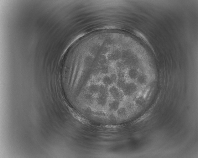 X0000067480827200604281918