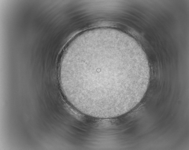 X0000067480828200604281918